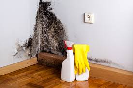 Best Mold Odor Removal Services  in Burlington, NC